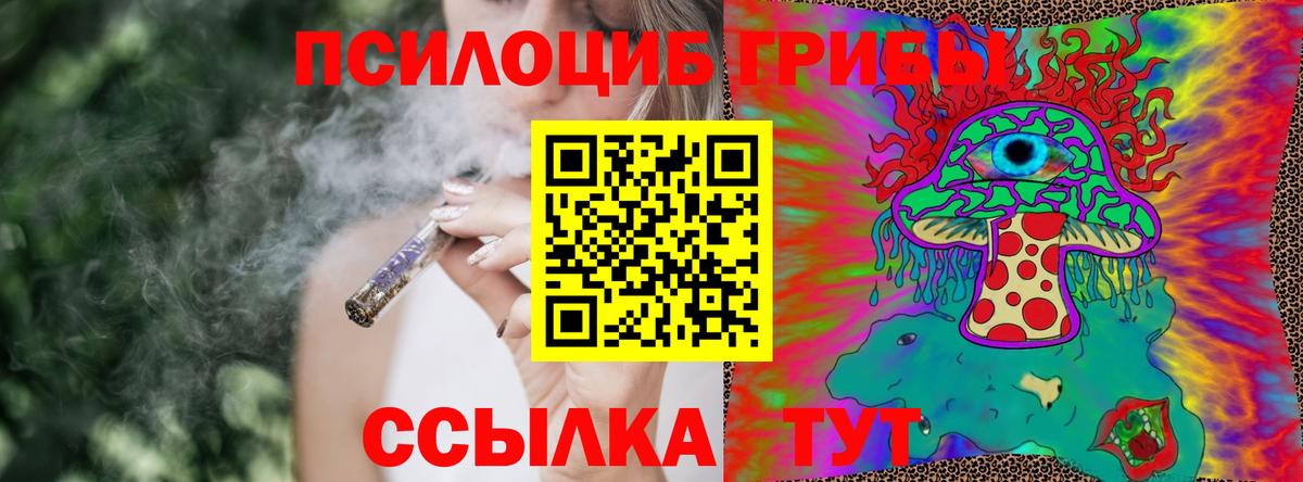 Нижнеудинск  Галлюциногенные грибы прущие грибы  как найти наркотики  Вход с VPN 